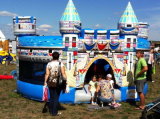 Big Inflatable Castle Type Bouncer with Mosquito Net (RB1049)