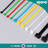 Free Samples UV Protection White Zip Cable Tie