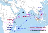 Shipping Agent/From China to Djibout/Mombasa/Tanga/Dar Es Salaam/Maputo/Port Louis