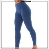 Promotional Price Body Support Gym Leggings Workout Clothes Women Yoga Tights