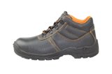 Basic Style Safety Shoes with CE Certificate (SN1627)