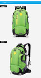 Fashion Sport Backpack Bag for Camping