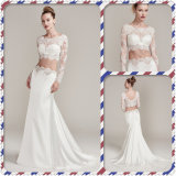 Illusion Lace Crop-Top Lace Trimmed Train Two-Piece Wedding Dress (Dream-100061)