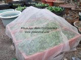 HDPE Insect Net for Vegetable Greenhouse Mosquito Net
