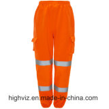 Safety Trousers with ANSI107 Standard (C2399)