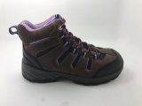 Good Looking Women Lady Safety Shoes Sn5509