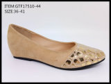 New Style Women Leisue Shoes Falt Shoes (GTF17510-44)