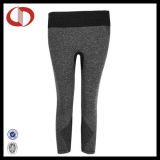 Womans Seamless Blank Fitness and Gym Legging