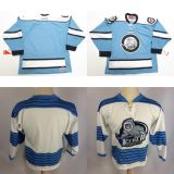 Customize Echl Evansville Icemen 100% Embroidery Goalit Cut Hockey Jerseys