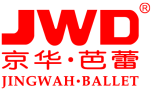 Shenzhen Ballet Digital Technology Co., Ltd.