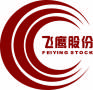 NINGGUO FEIYING AUTO SPARE PARTS CO., LTD.