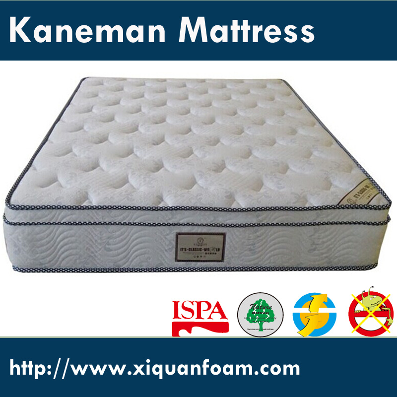 Hight Quality Euro Top Spring Mattress