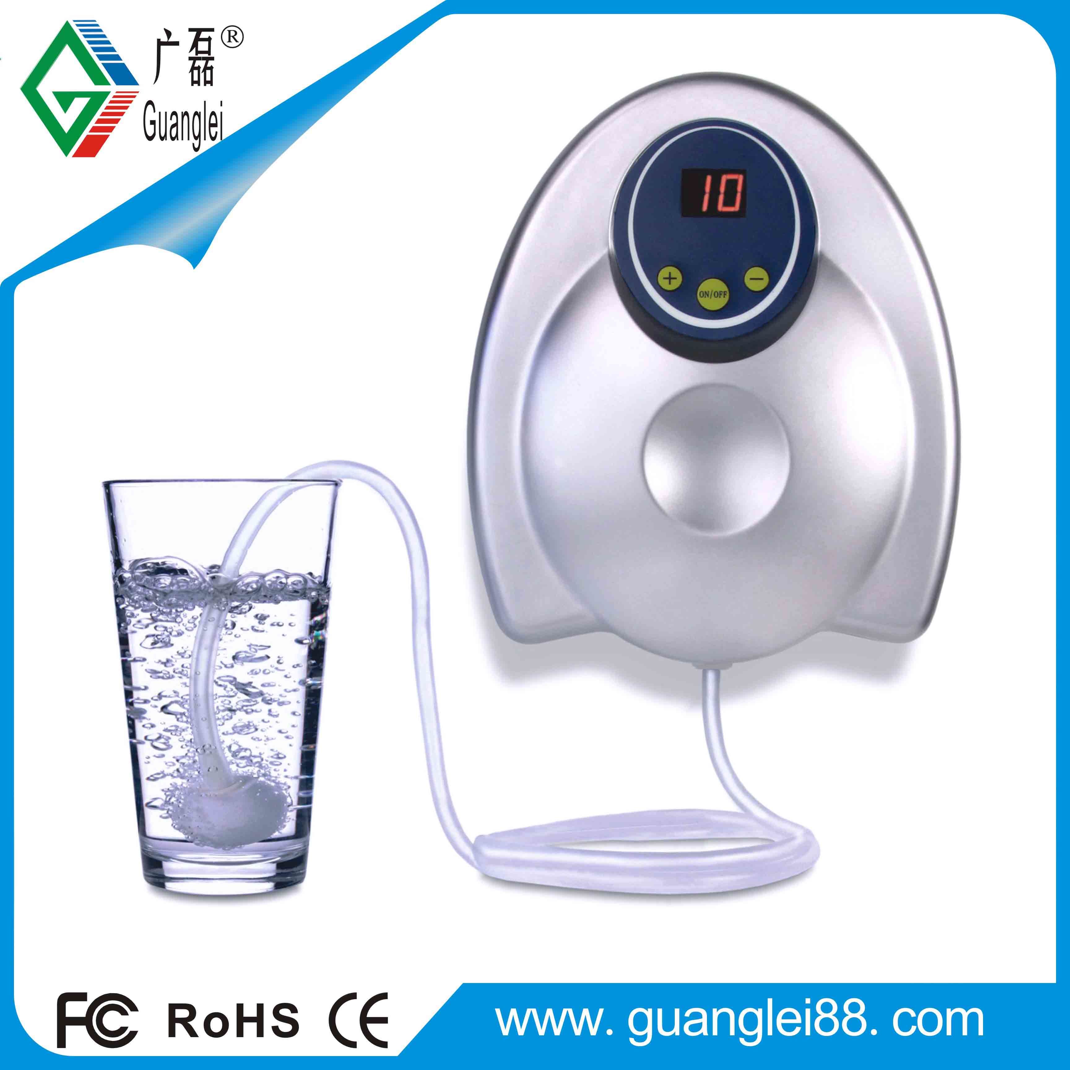 OEM Ozone Generator Water Purifier3188 with 400mg O3 for Home