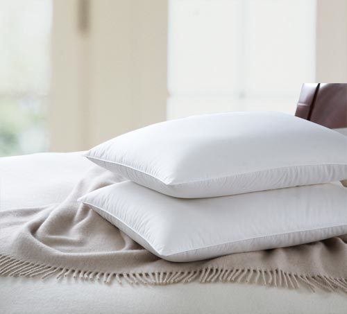 Goose Luxurious Fashion High Quality Soft Skin Down Pillow