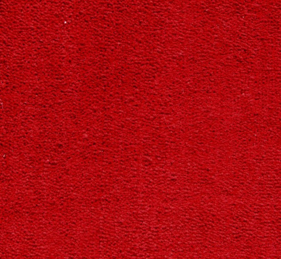 Wool Blend Carpet (CF508)