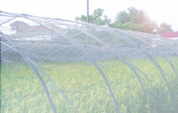 Anti Insect Net 100% HDPE with UV 5 Years Insect Screening