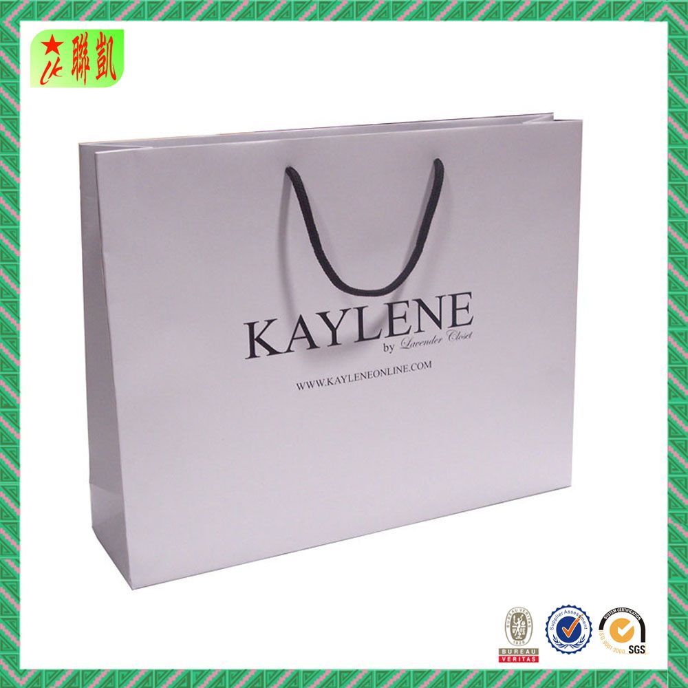 Customized Promotion Gift /Shopping / Printed Paper Bag with Strings