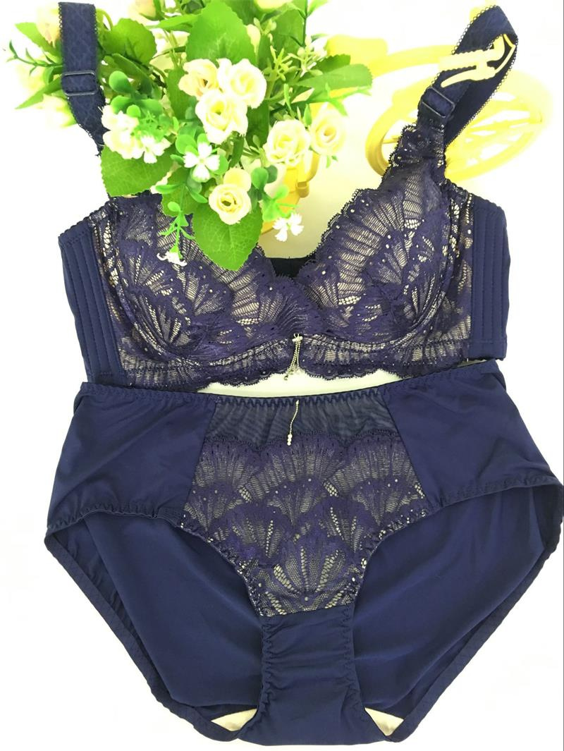 Sexy Lace Push up Bra and Panty Set (CS60118)