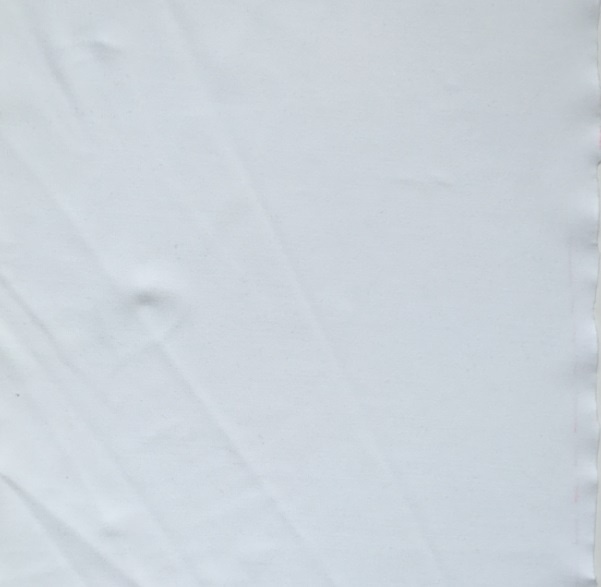 Bleached Single Jersey for Swimwear Polyester Fabric