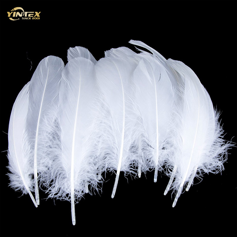 Duck Down and Feather Material