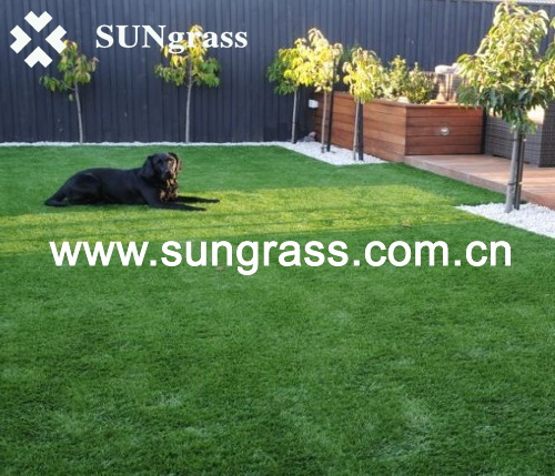 Synthetic Lawn Carpet for Garden or Landscape (SUNQ-HY00009)