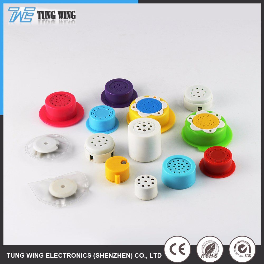 Mini Recorder Sound Module for Child Book