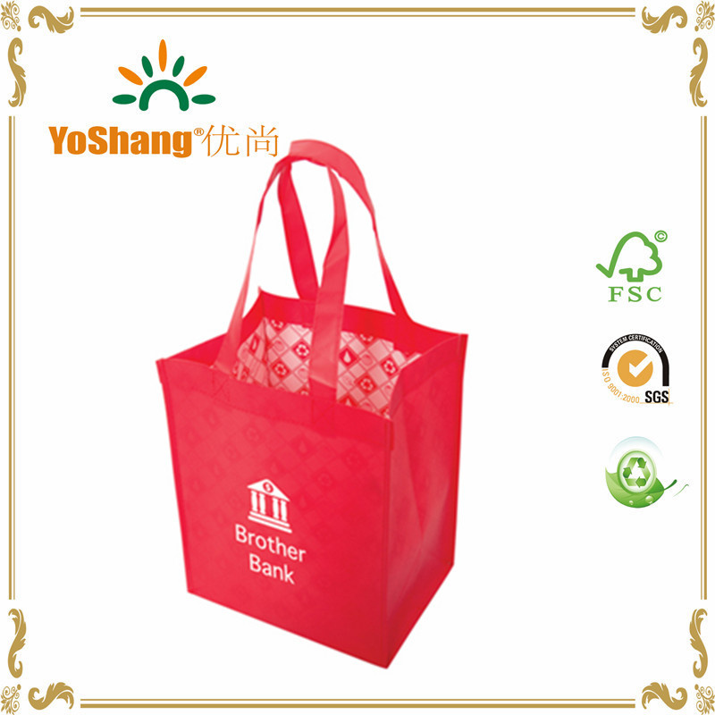 Top Sale Custom Design Sport Recyclable PP Non Woven Bag