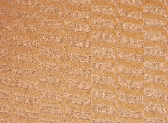 Cut and Loop Pile Carpet (8E202)