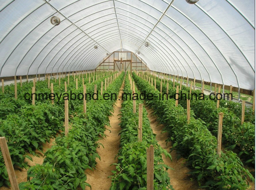 20/10 Mesh Insect Net
