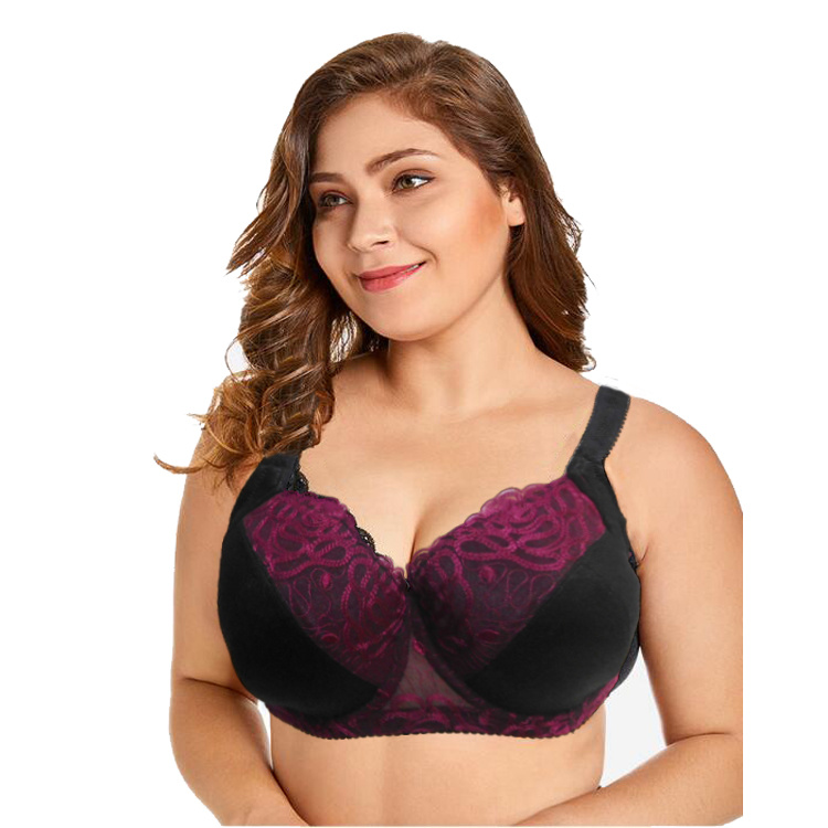 Latin America New Design Plus Size Bra