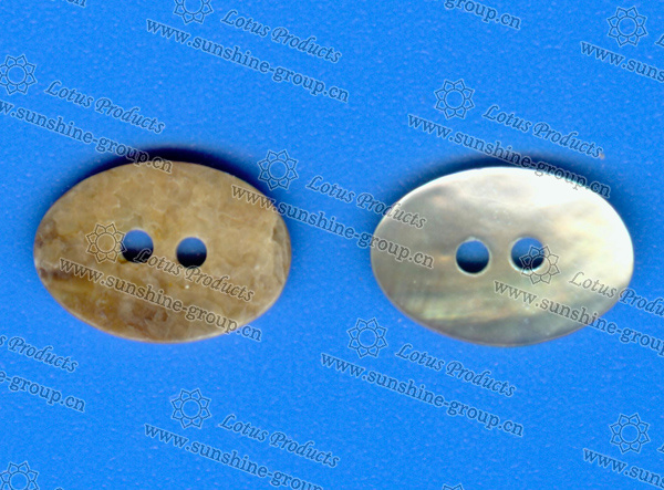 Custom Abnormity Shell Buttons for Garment