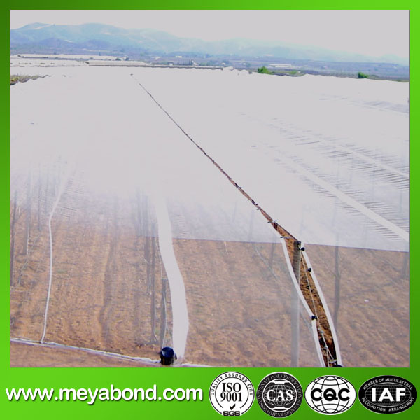 50 Mesh Greenhouse Anti Insect Net