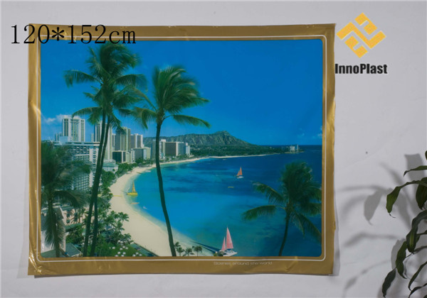 PVC Printed Landscape Transparent Table Cloth (TZ0006)
