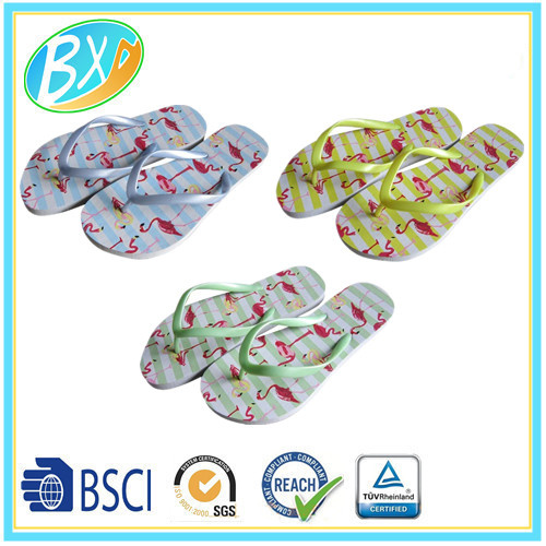 PE Sole PVC Upper Slipper for Lady