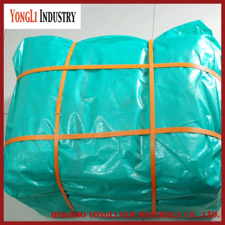 All Purpose Cover Tent Awning Lona PE Tarpaulin Poly Tarp