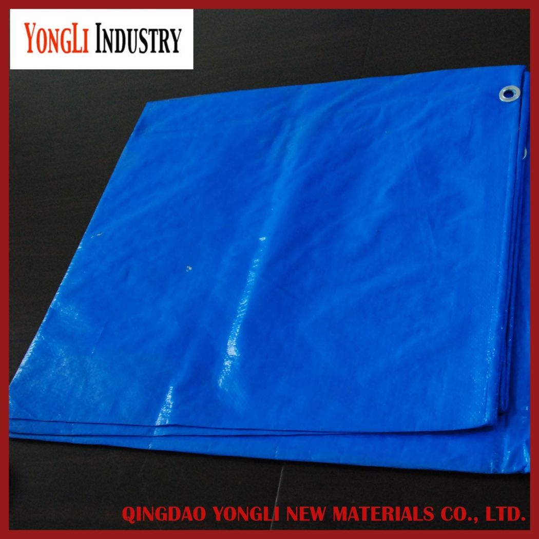Industry Customized Size Inexpensive Blue Polyethylene Tarpaulin