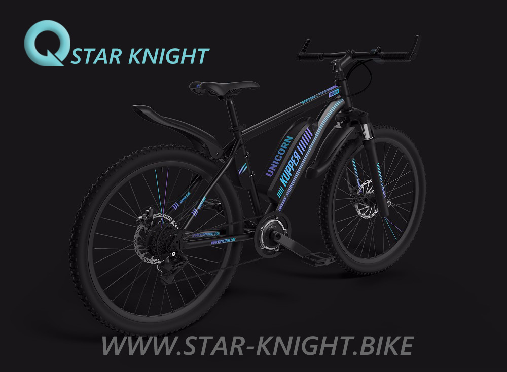 High Power Electric Bcycle with Long Range Men Commuter