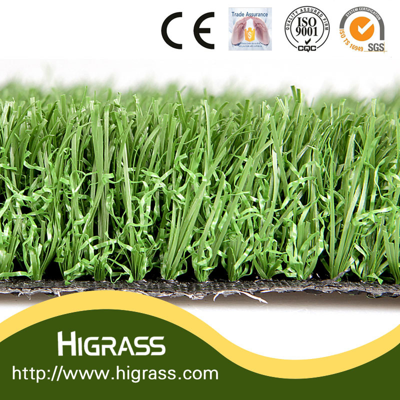 Decoration Grass Carpet Turf and Synthetic Grass for Garden