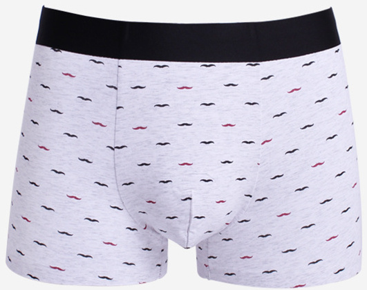 New Print Design Viscose Men's Boxer Brief Underwear with Eco Permit