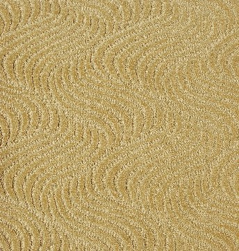 Cut and Loop Pile Carpet (8E102)