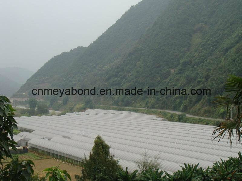 China Cheap Price PE Plastic Anti Insect Net, Anti Aphid Net for Greenhouse Garden