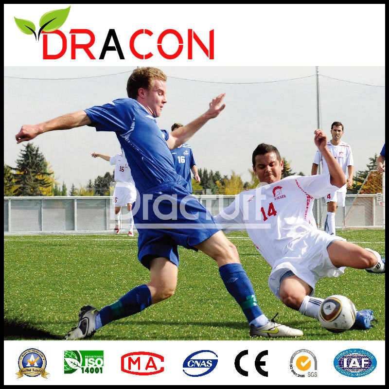Five-Man Indoor Futsal Artificial Grass Field