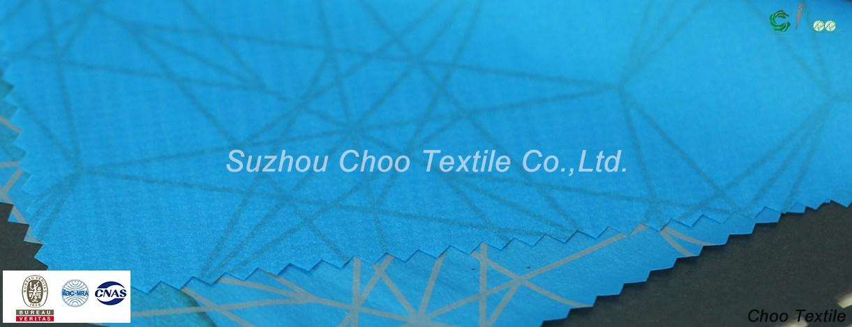100% Nylon with 20d Low-Elastic Printing Fabric for Skin Fabric