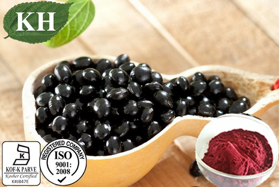 Manufacturer Supply Natural Extract Black Soybean Hull Extract