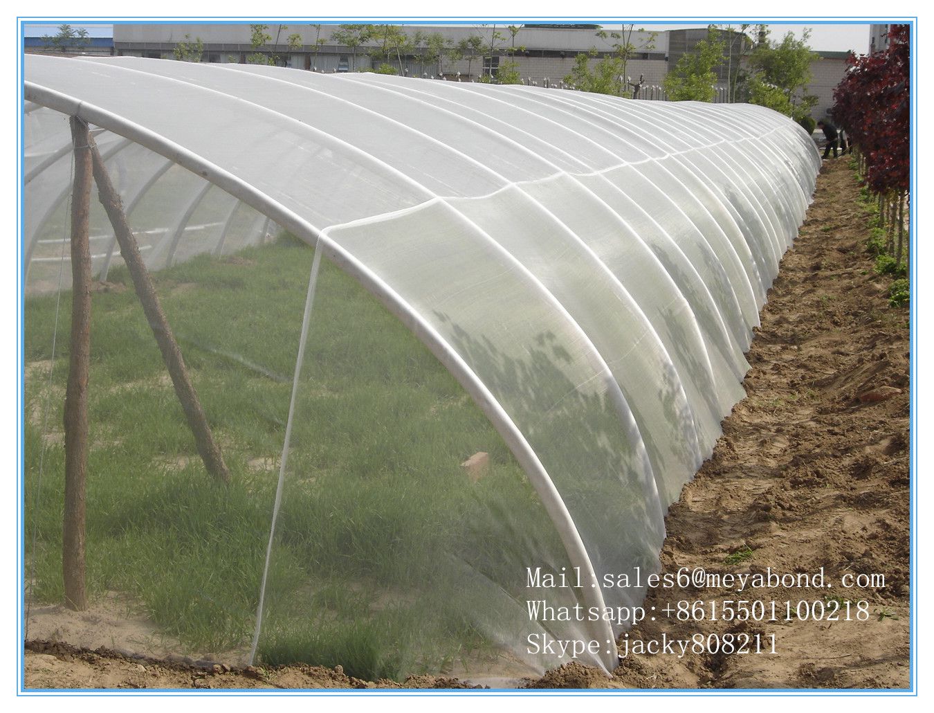 Insect Netting (factory)