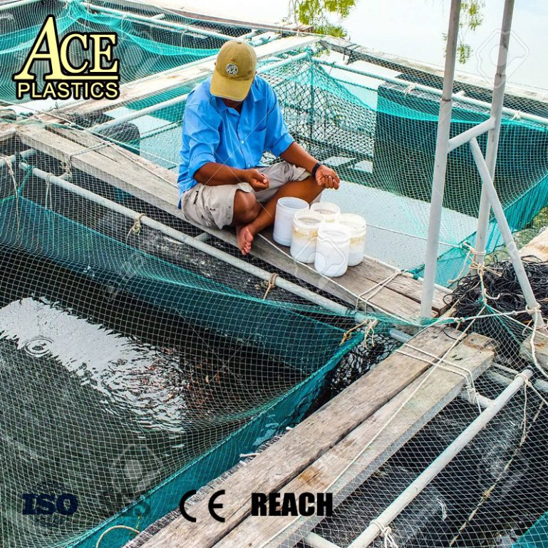 16 Mesh Farming PE Shrimp/Frog/Fish Pond/Insect Net