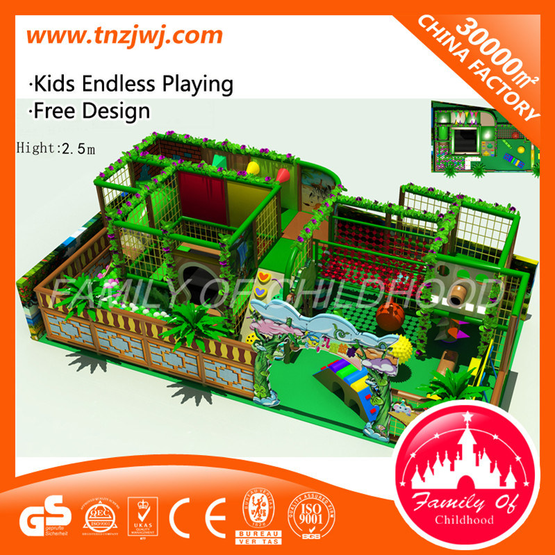 Kids Theme Park Soft Indoor Playground with Ball Pool