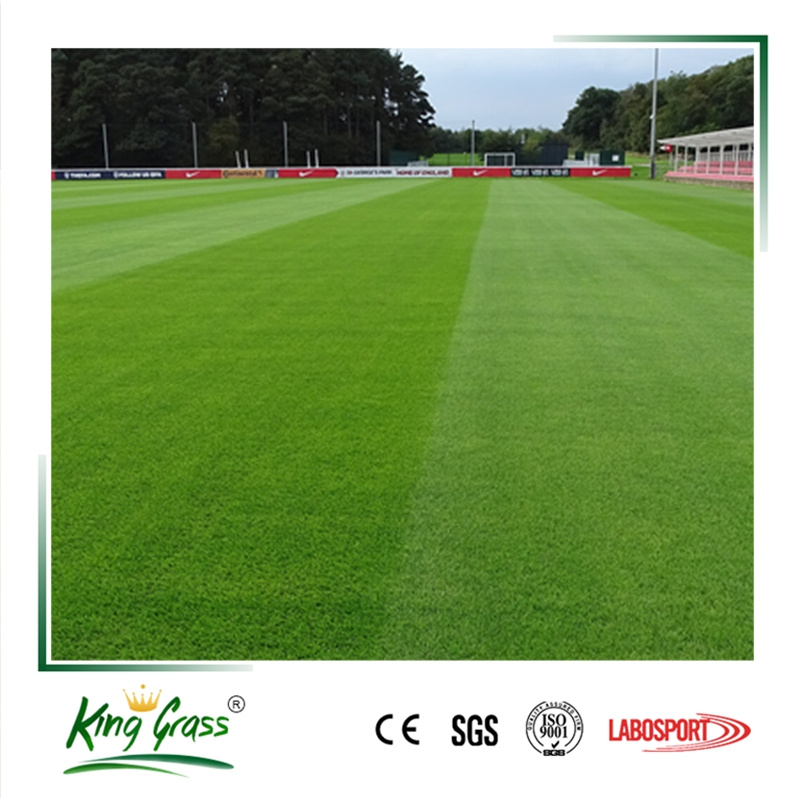 Top Grade Most Popular Artificial Grass Carpets for Football Stadium