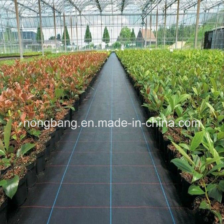 PP Non Woven Weed Conrol Fabric