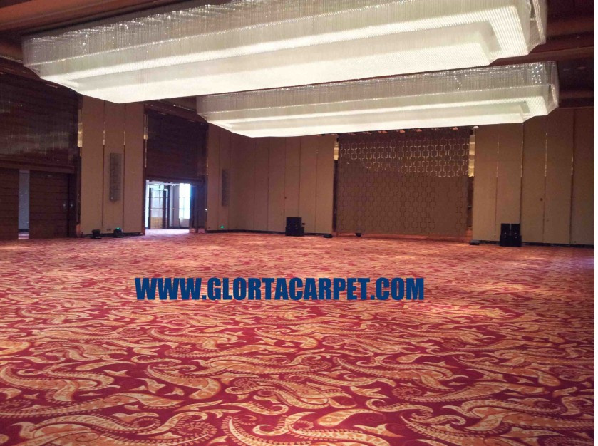 Broadloom Carpet for Hand Tufted Hilton Hotel (Function Hall)
